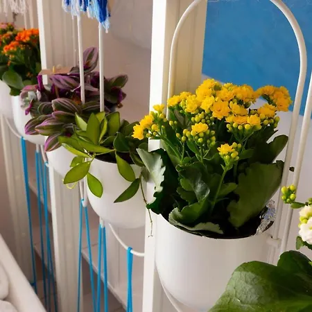 Center Appartement *