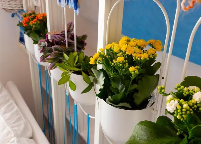 Center アパート *